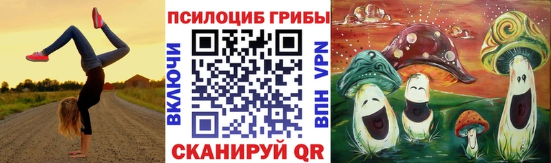 закладки  Нижний Новгород  shop какой сайт  Галлюциногенные грибы Psilocybe 