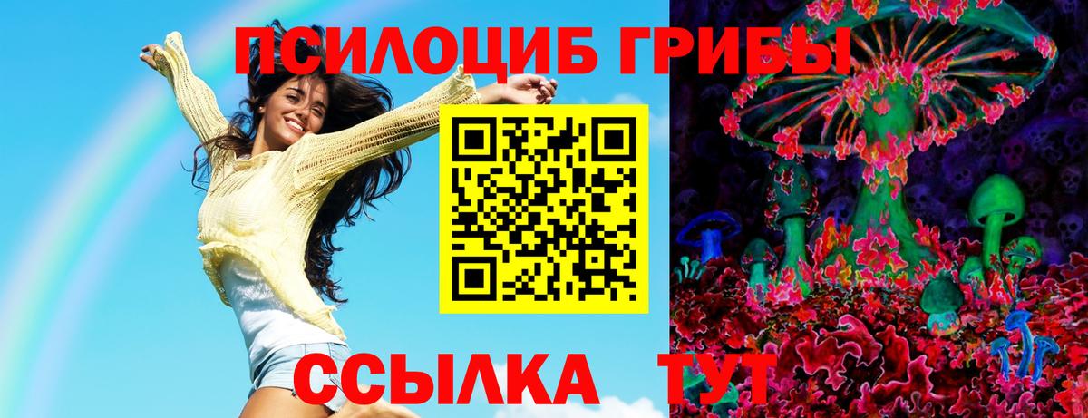 Псилоцибиновые грибы мицелий  где найти наркотики  Нижний Новгород  Вход с VPN 